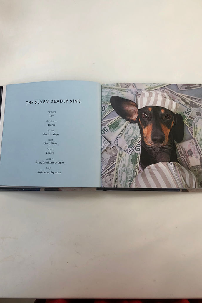 Dogstrology - Styled