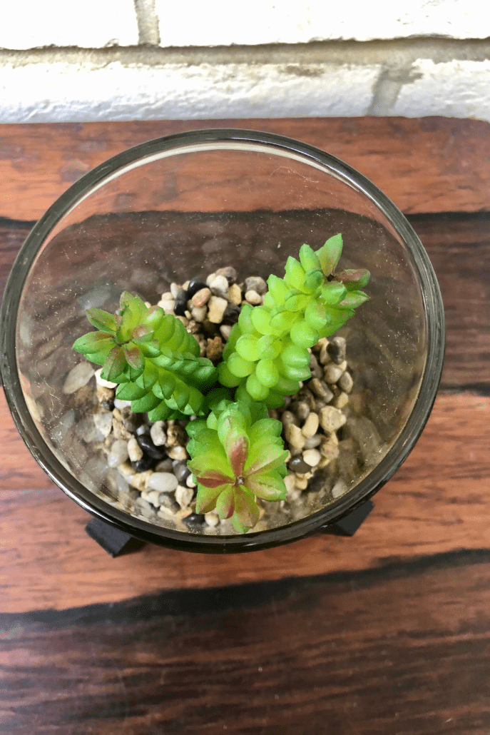 Faux Bead Plant In Glass Pot With Stand