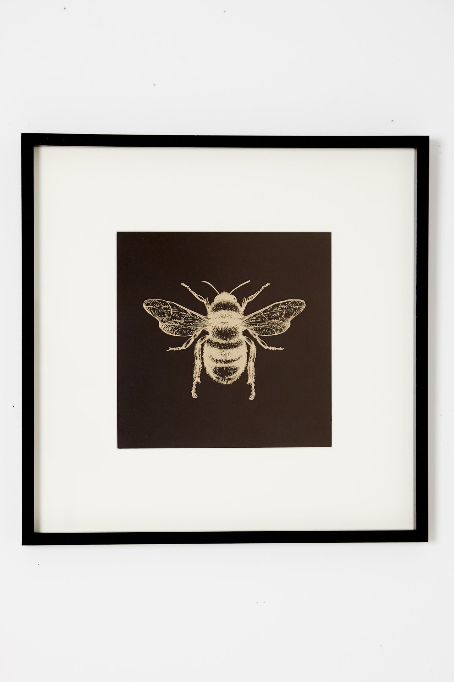 Bee Framed Wall Art Black