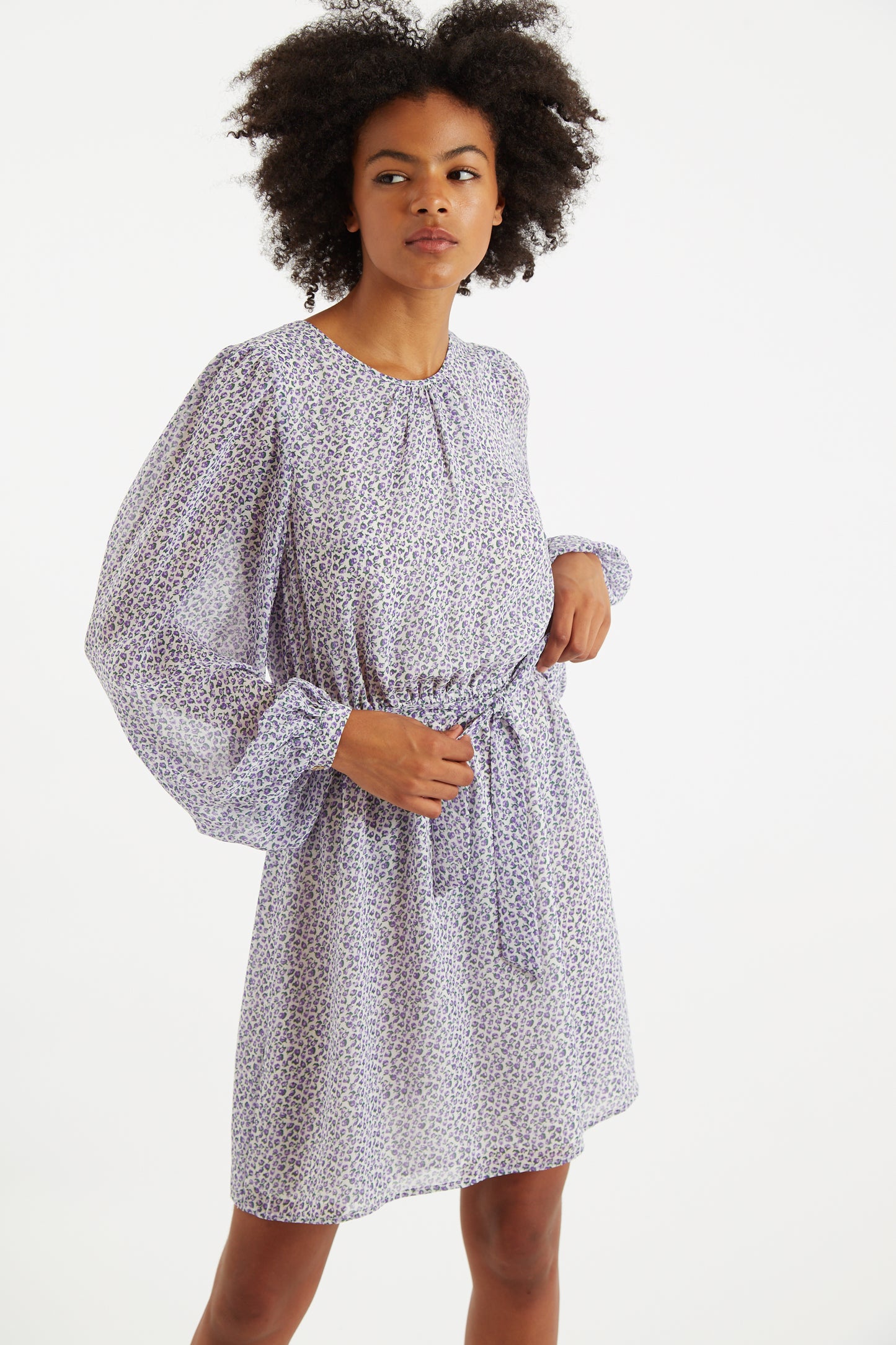 Belynda Rosetta Print Long Sleeve Mini Dress