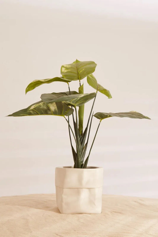 Large White Ceramic Paper Bag Planter