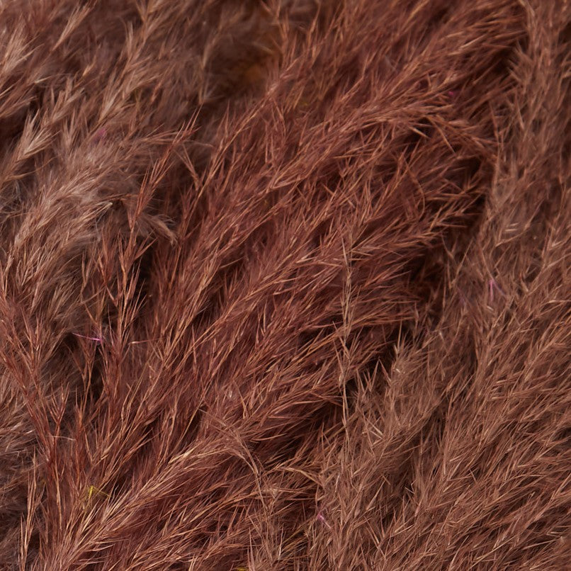 3 Stems of Chocolate Dried Pampas Grass - Fabric & Print Detail