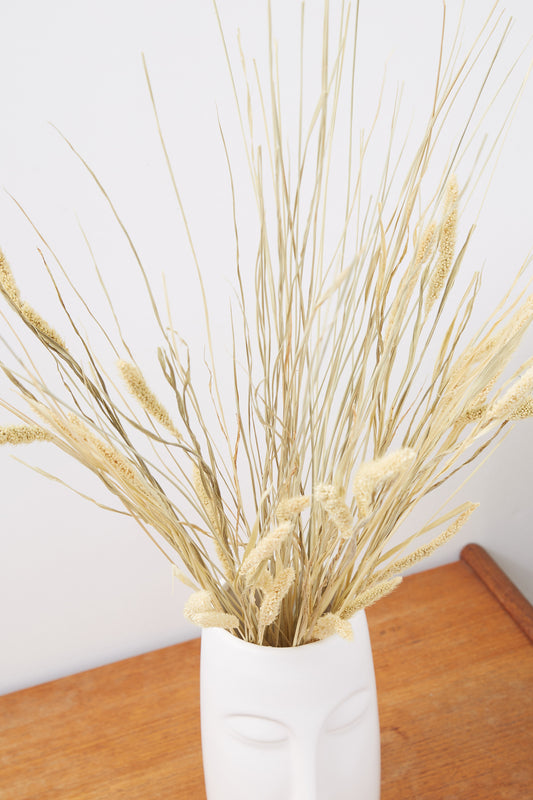 Dried Cats Tail Grass