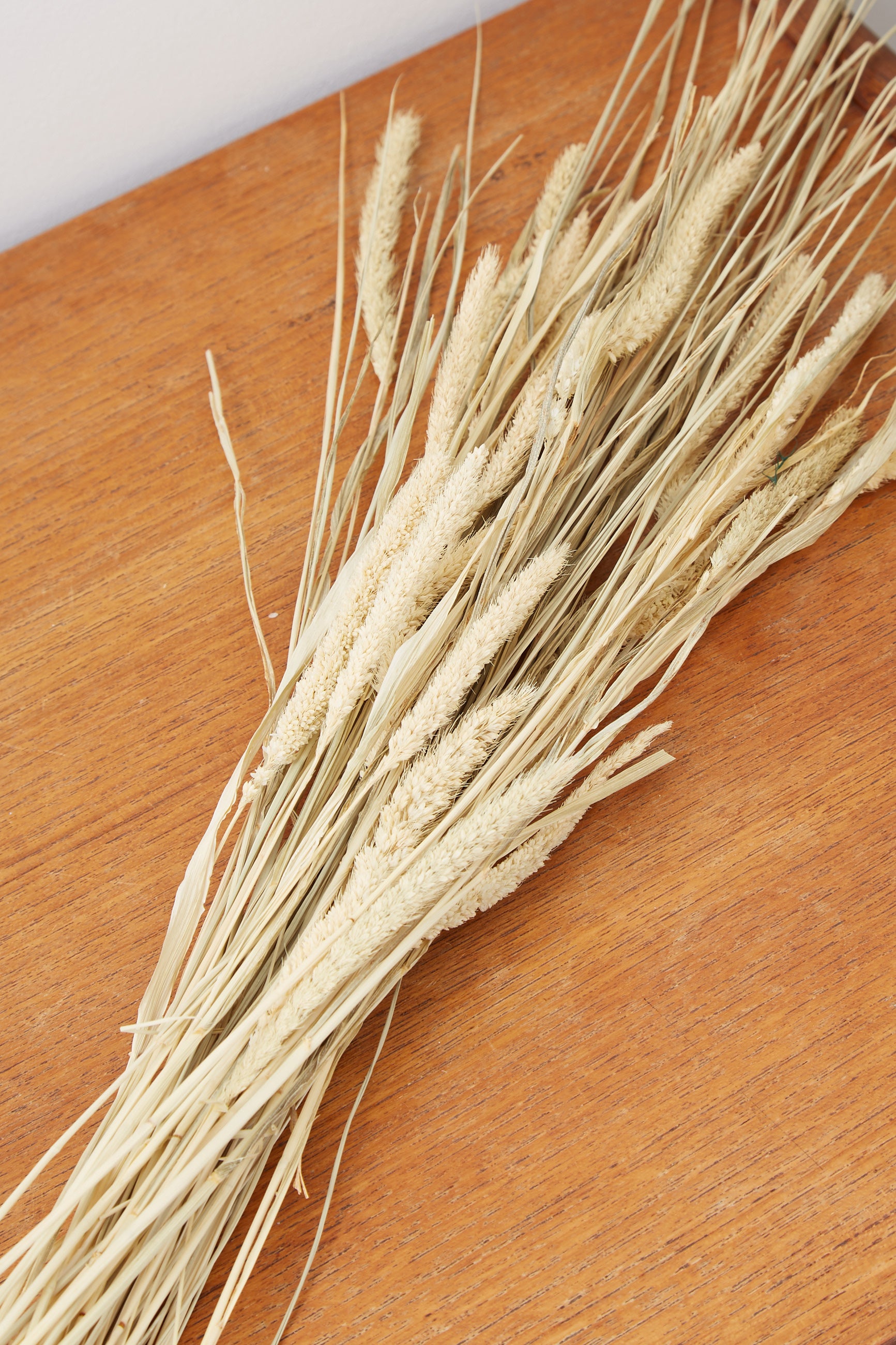 Dried Cats Tail Grass - Styled