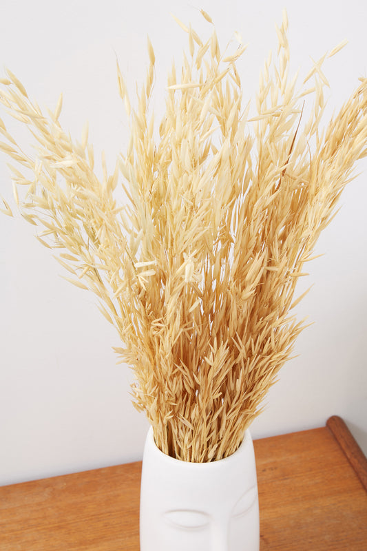 Dried Oat Grass