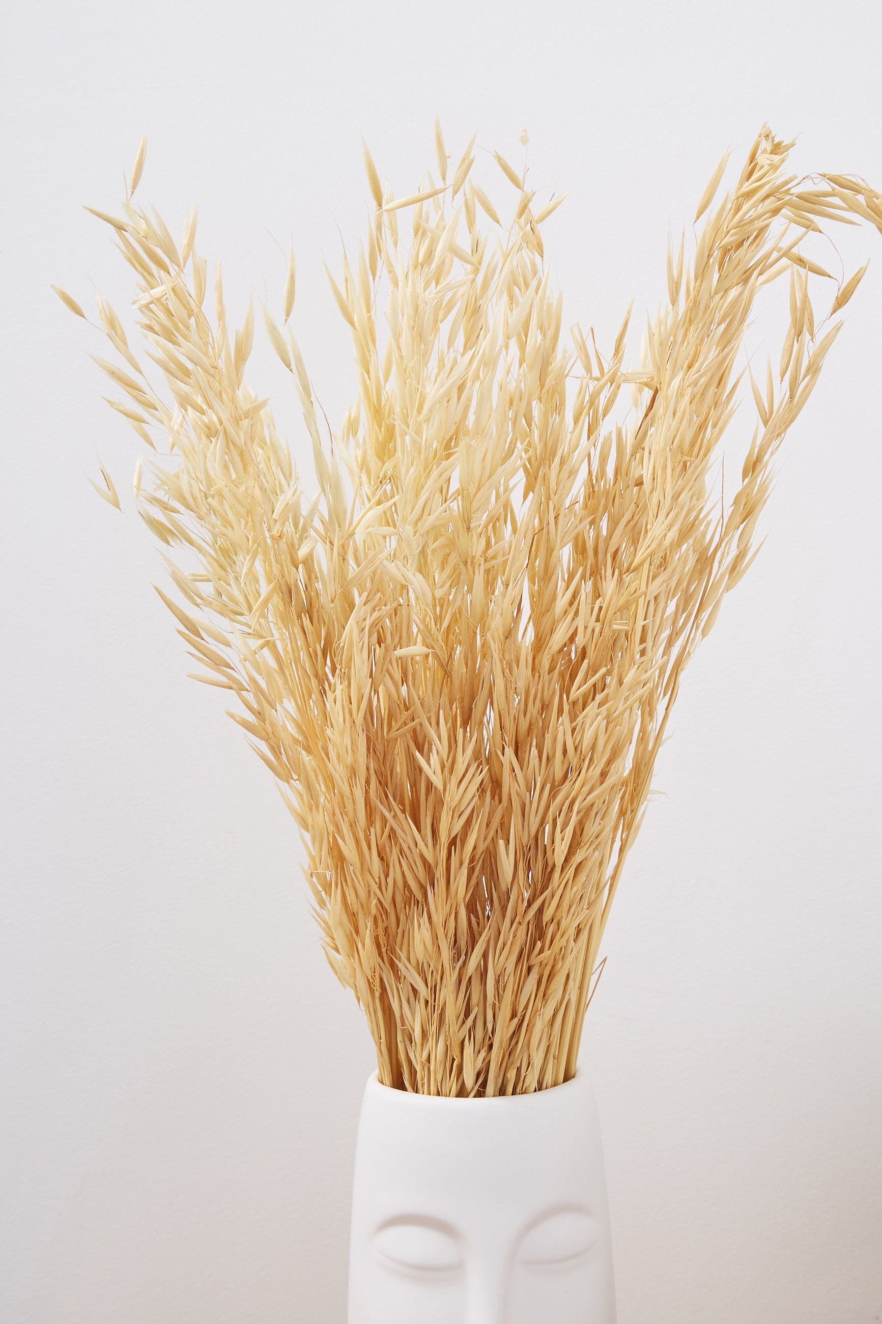 Dried Oat Grass - Detail 1