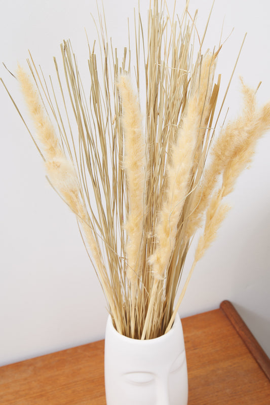 Dried Satin Tail Grass