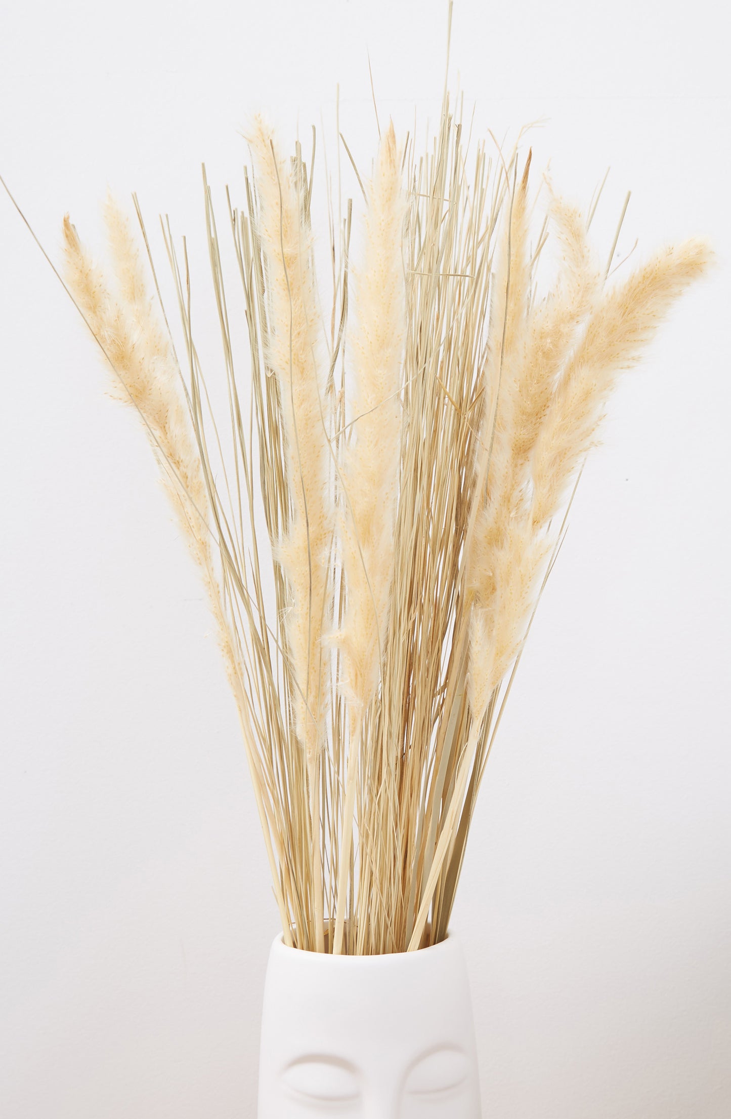 Dried Satin Tail Grass