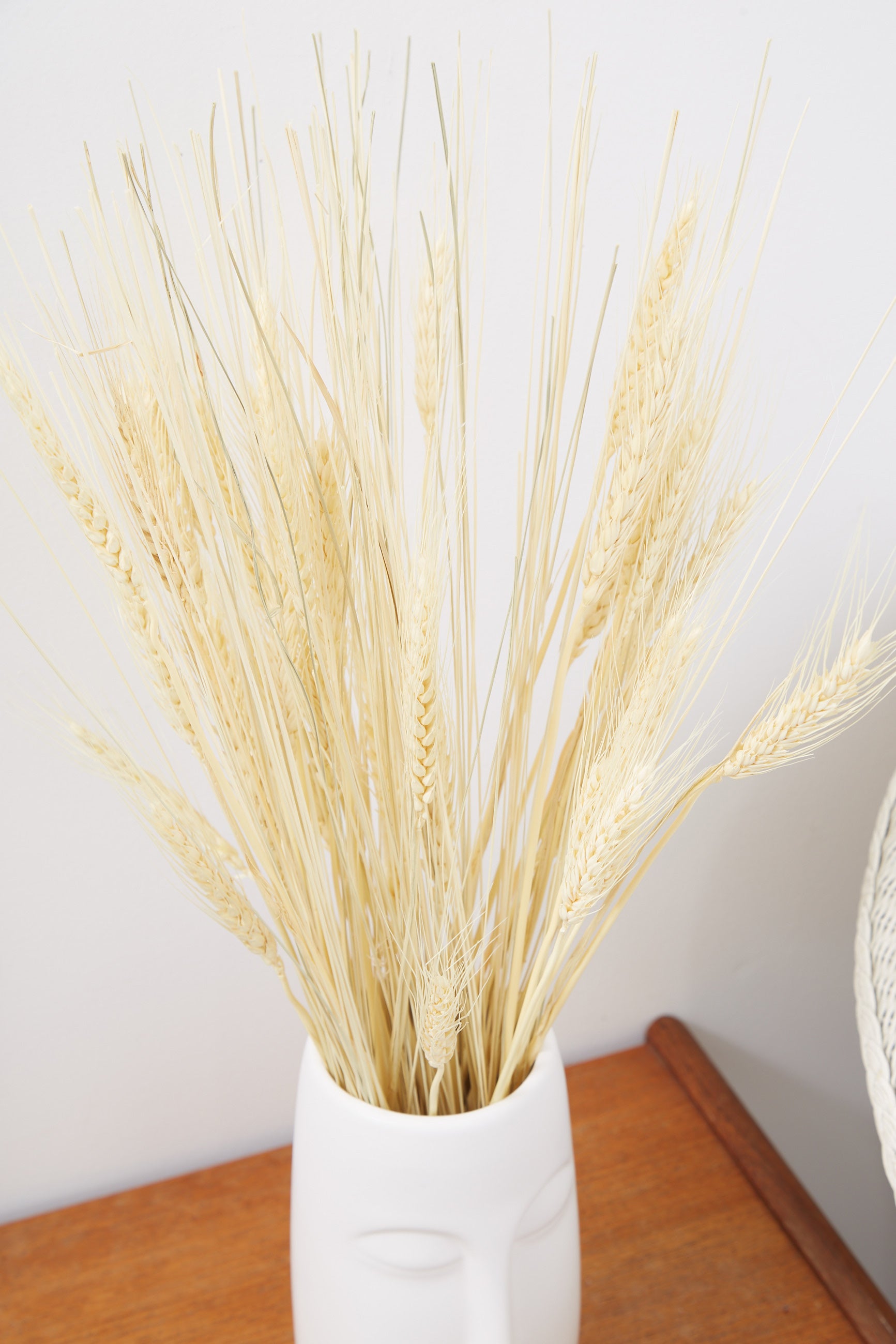 Dried Wheat Grass - Front