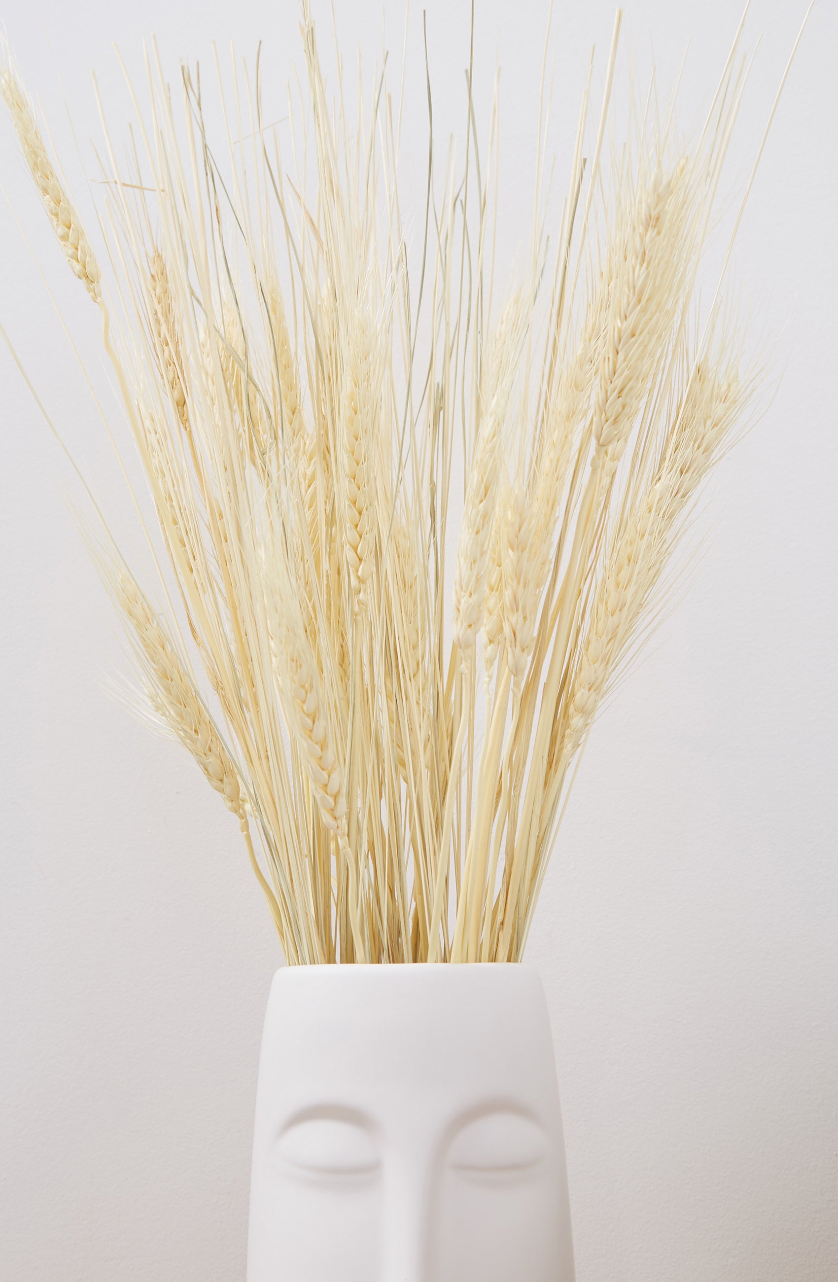 Dried Wheat Grass - Detail 1