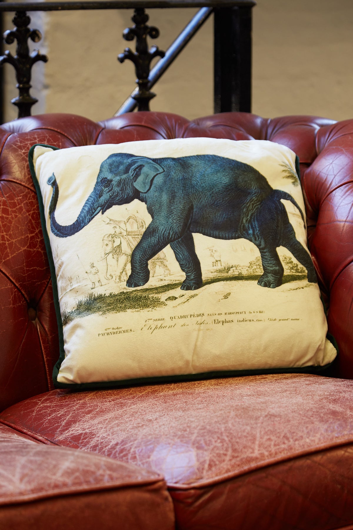 Elephant Printed Velvet Cushion