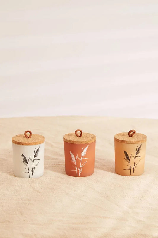 Set Of 3 Pampas Grass Candles