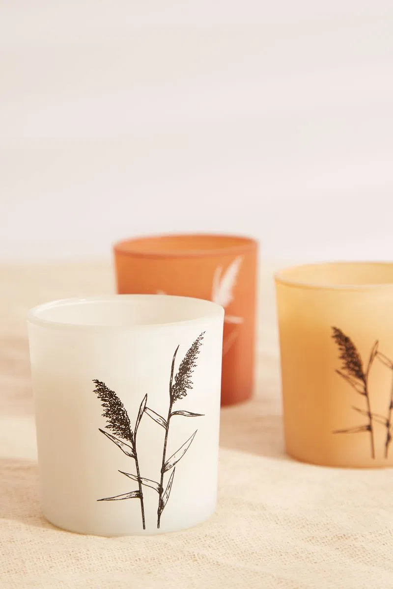 Set Of 3 Pampas Grass Candles - Detail 1
