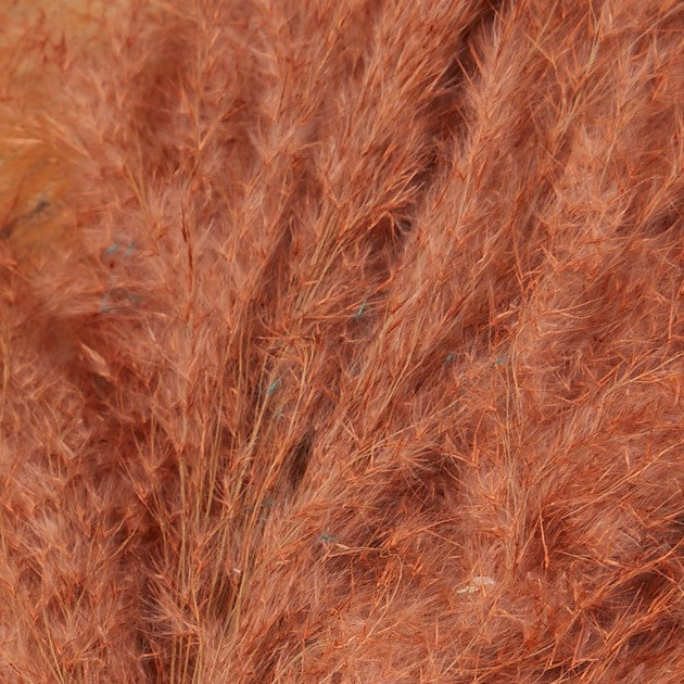 3 Stems of Ginger Pampas Grass - Fabric & Print Detail