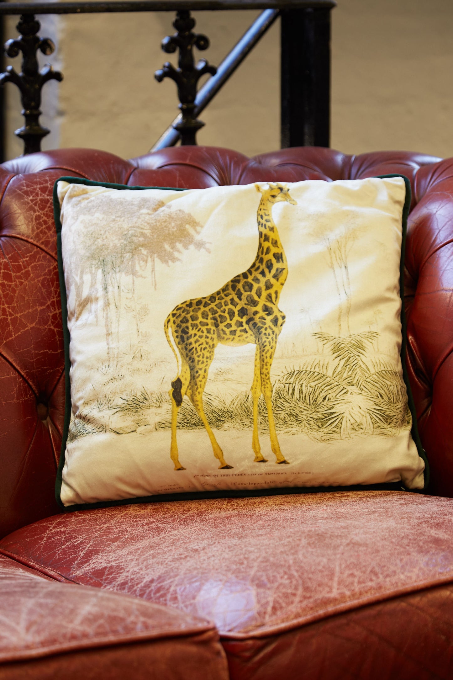 Giraffe Printed Velvet Cushion