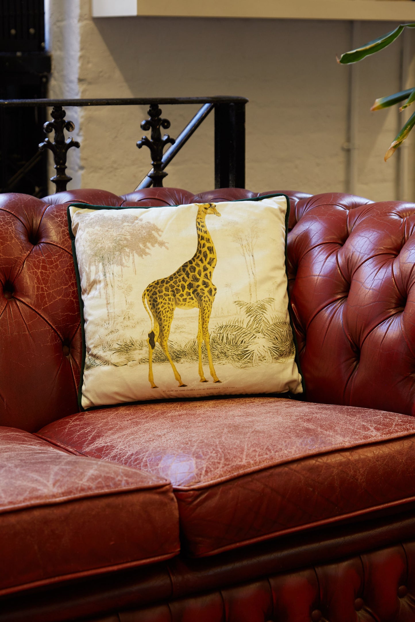 Giraffe Printed Velvet Cushion