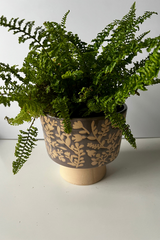 Large Flower Embossed Planter