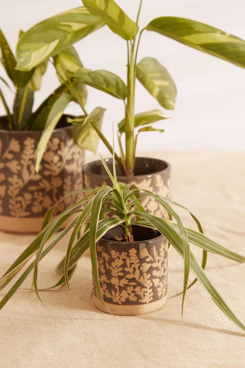 Set Of 3 Floral Embossed Glazed Planters In Grey