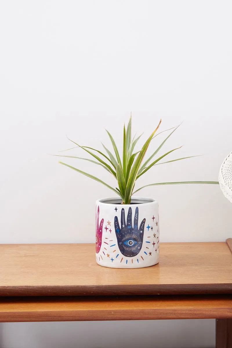 Hand Design Planter - Detail 1