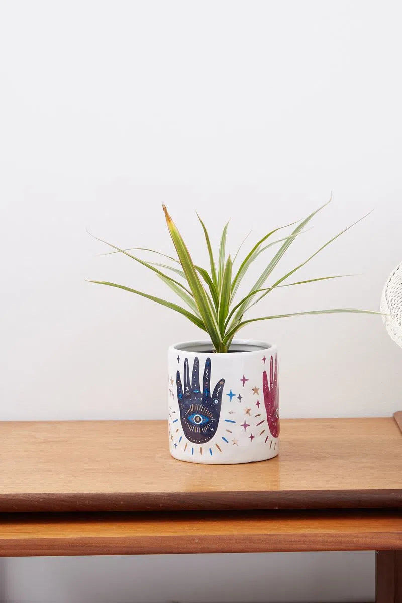 Hand Design Planter - Detail 2
