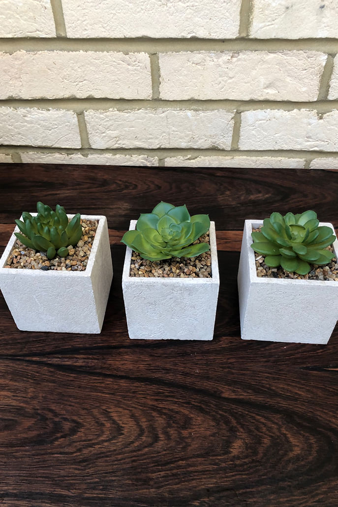 Set 3 Faux Potted Succulents