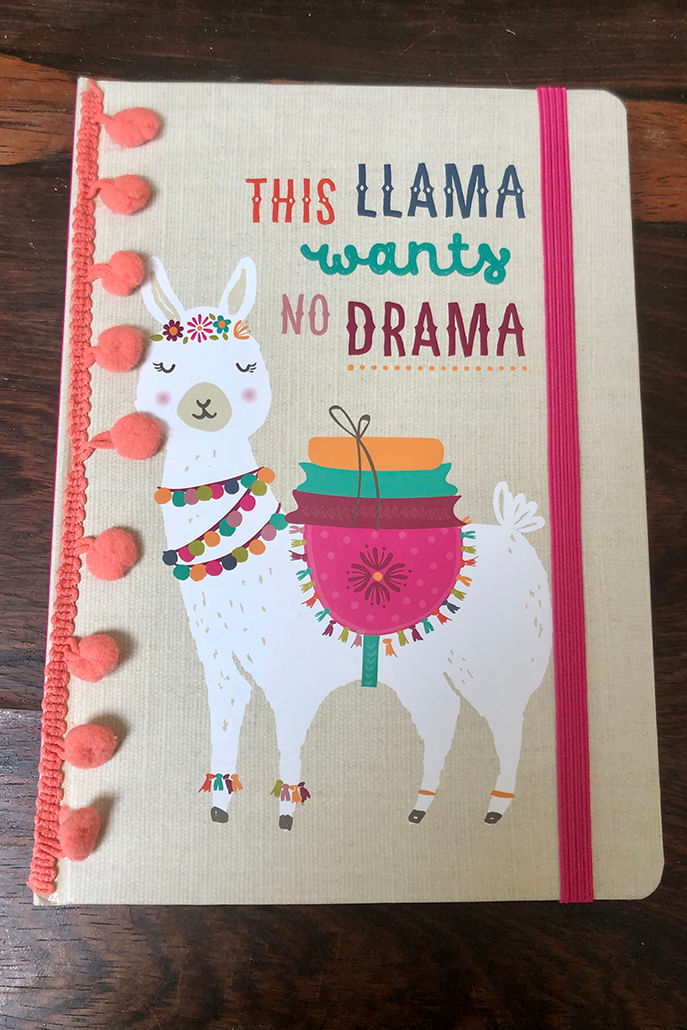 This Llama Wants No Drama A5 Ruled Notebook