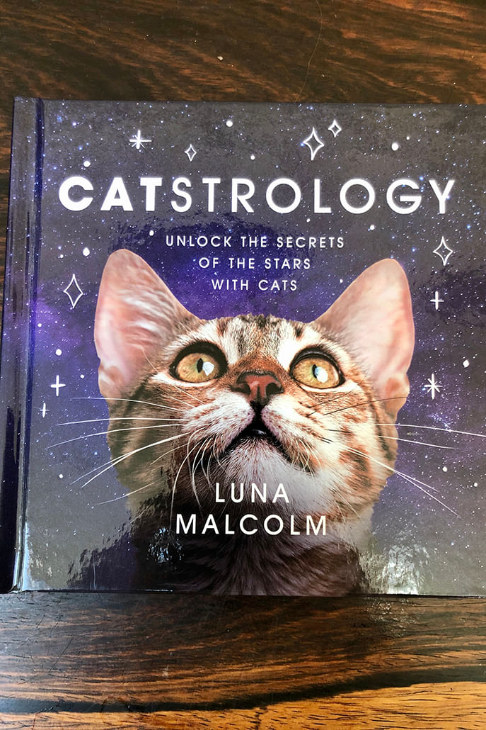 Catstrology