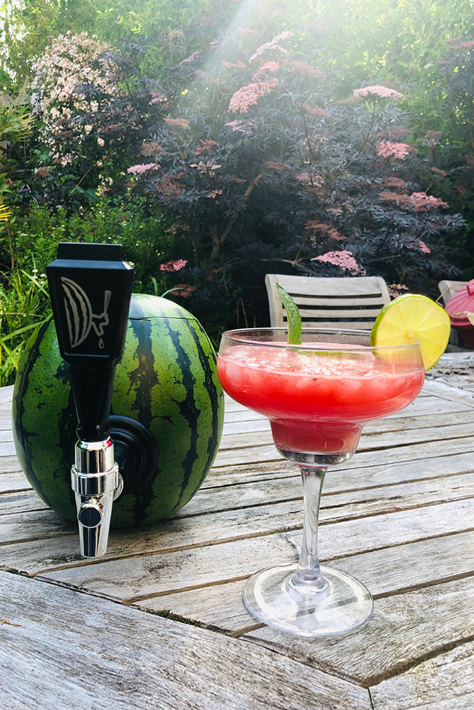 Watermelon Keg Kit