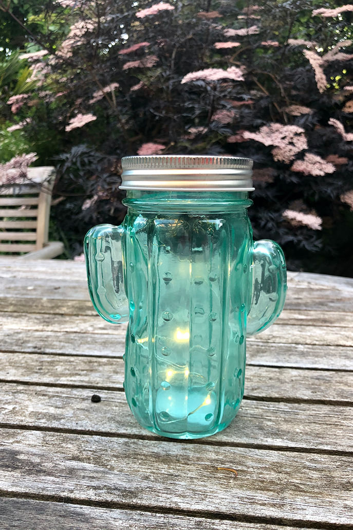 LED Cactus Shaped Glass Light