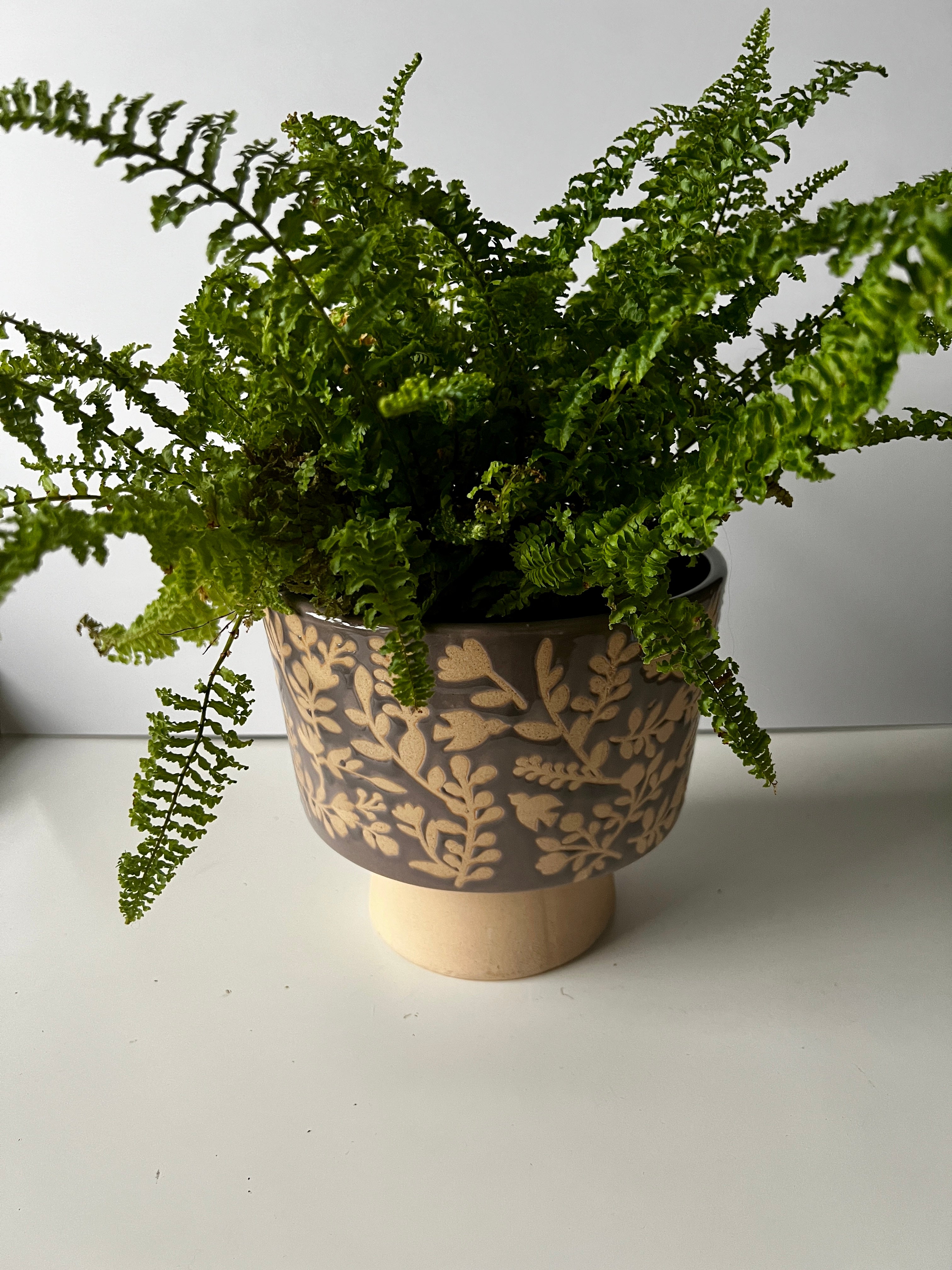 Large Flower Embossed Planter - Styled