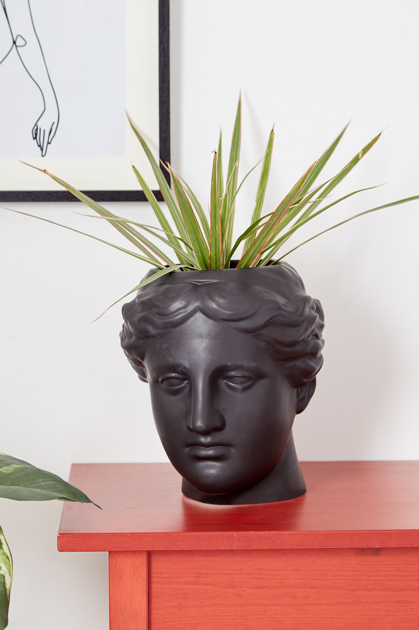 Large Venus Head Planter Black