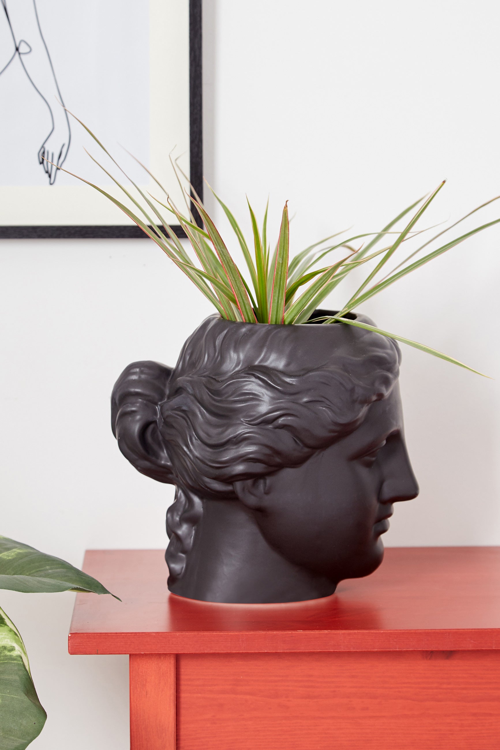 Large Venus Head Planter Black - Detail 1