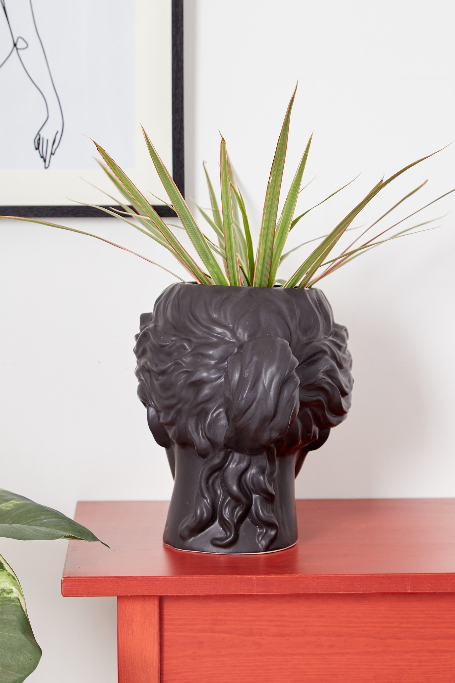 Large Venus Head Planter Black - Detail 2