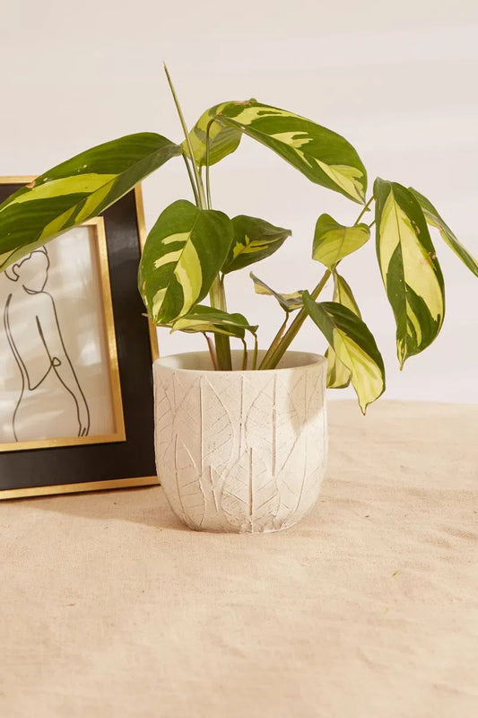 White Embossed Leaf Planter