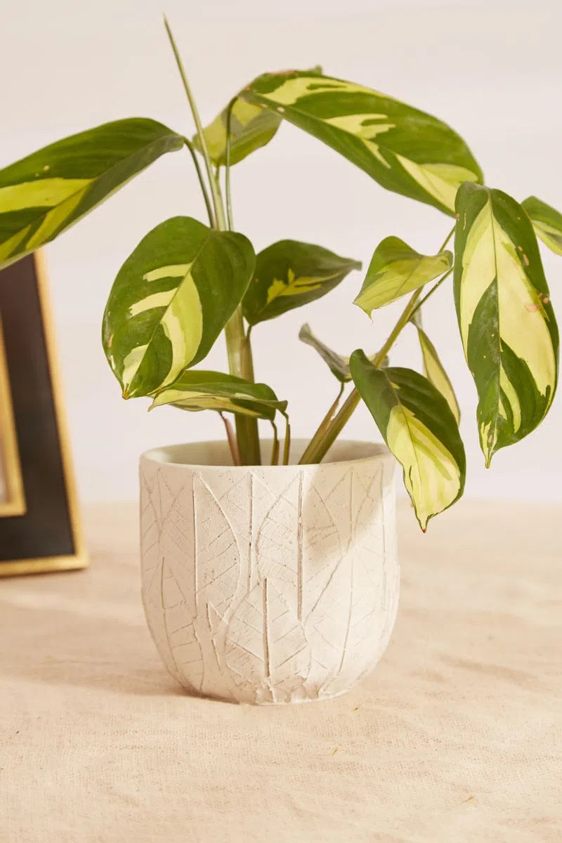 White Embossed Leaf Planter