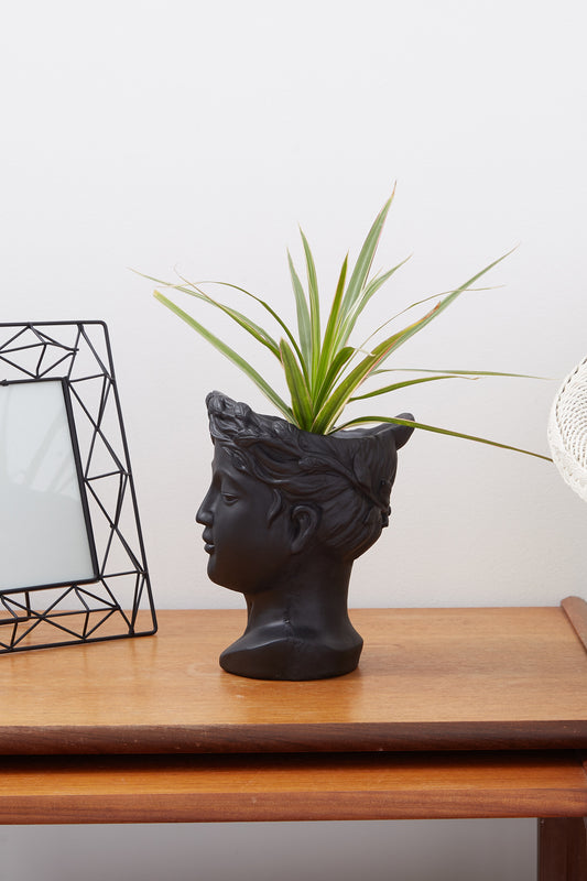 Medium Venus Head Planter in Black