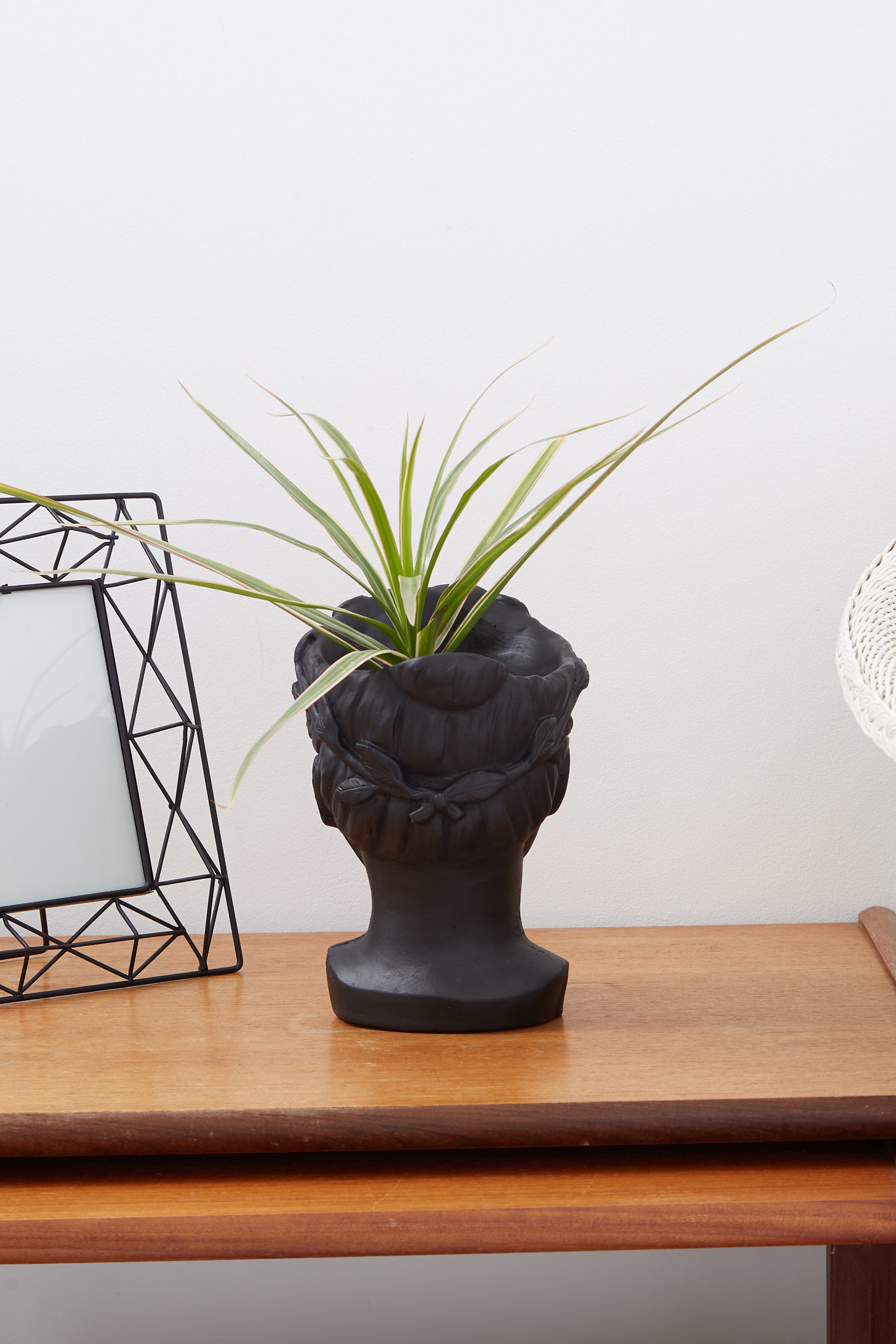 Medium Venus Head Planter in Black - Detail 1