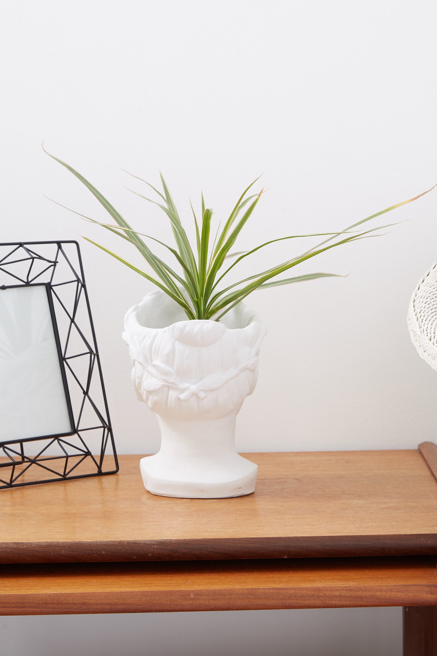 Medium Venus Head Planter In White