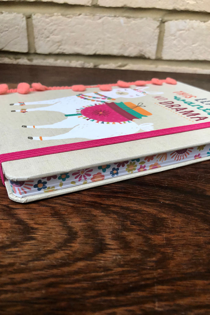 This Llama Wants No Drama A5 Ruled Notebook - Styled