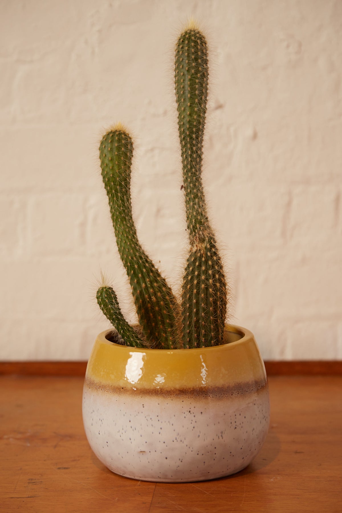 Ombre Glaze Planter