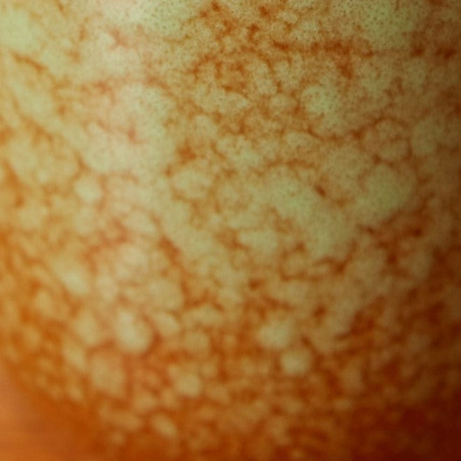 Ombre Stoneware Candle With Lid Green