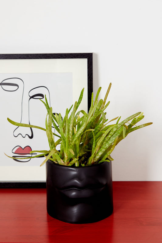 Relief Lips Planter Black