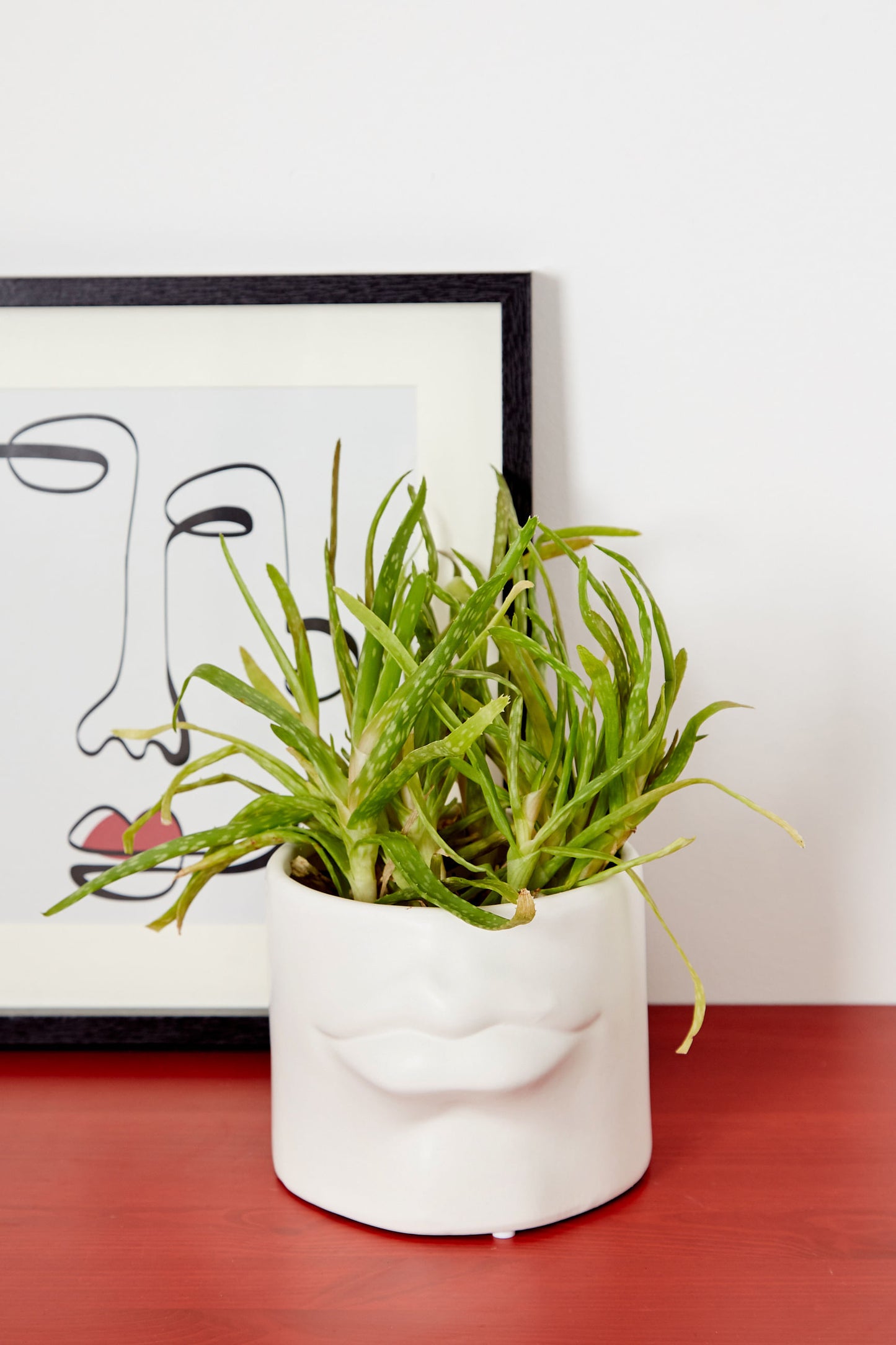 Relief Lips Planter White