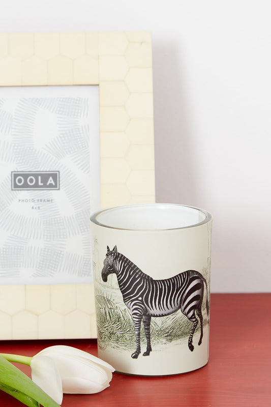 African Clove Scented Zebra Candle