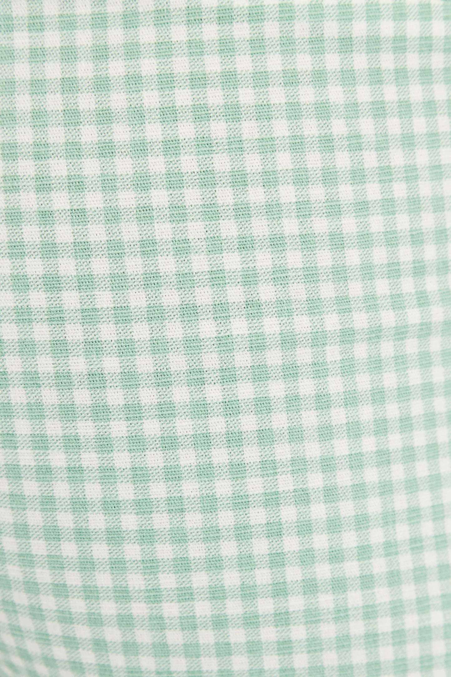 Louche Dora Summer Gingham Shorts In Mint