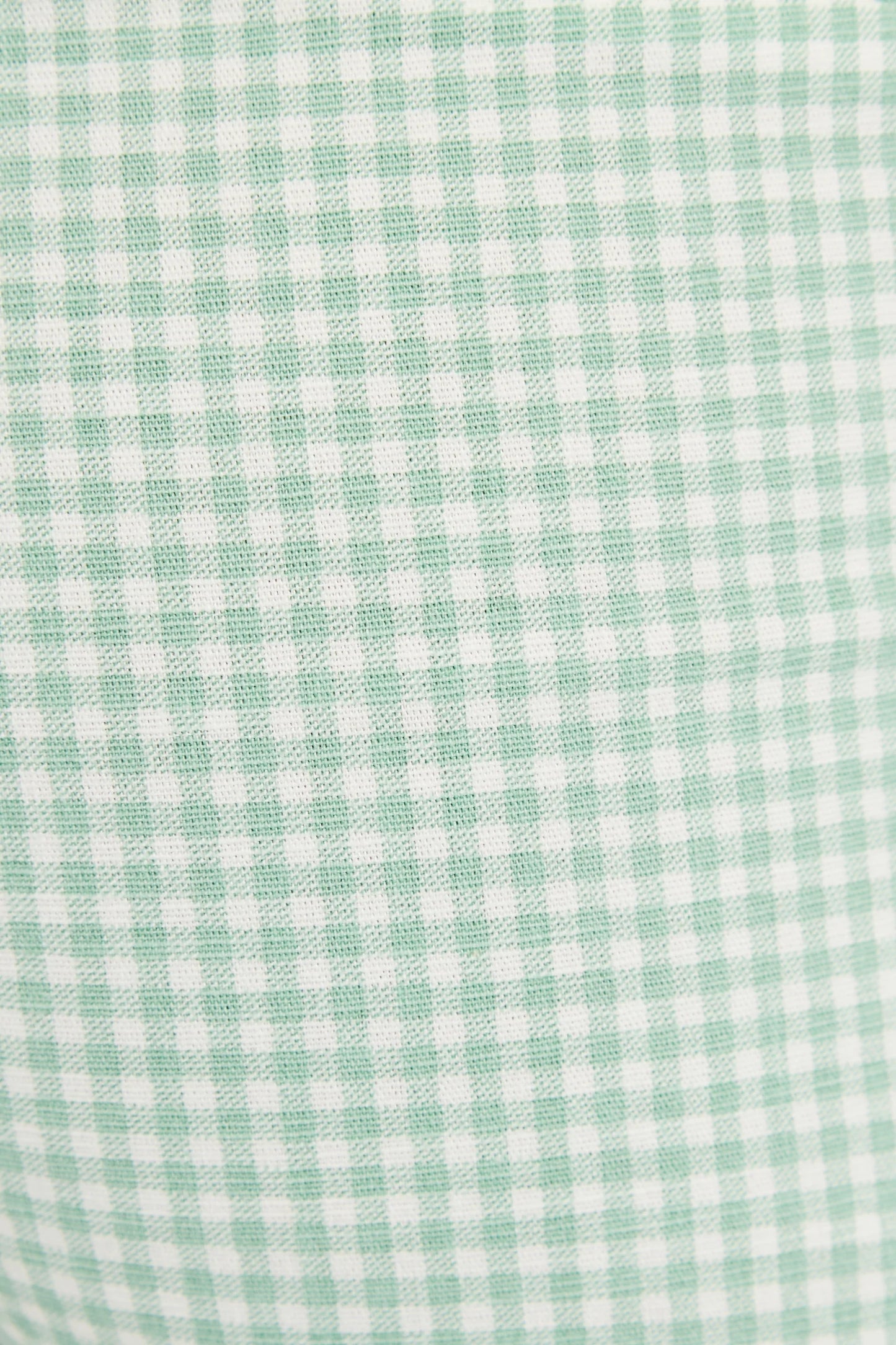 Louche Dora Summer Gingham Shorts In Mint