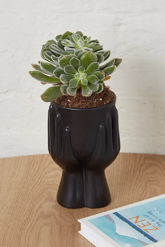 Hand Planter Black